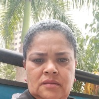 Laudicéia Barbosa Dos Santos