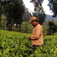 Mohanmurali Kumar Kumar