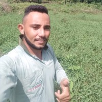 Raimundo Salve Silva
