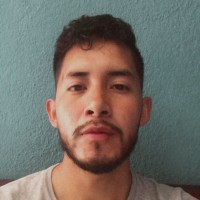 Diego Arpi