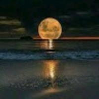 Ruth Leticia Liste Brochado