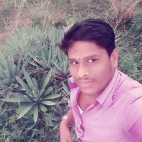 Duraipandiyan S