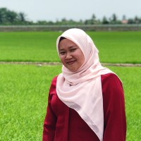 Nor Farhanah Mohammed Azmi