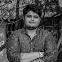 Swapnanil Ray