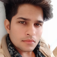 Veer Meena