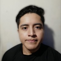 Luis Carlos Rangel Lagunes