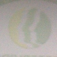 Francisco-Li1 Vtest-Li