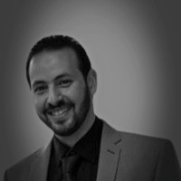 Hisham Amin