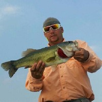 Steve Fields