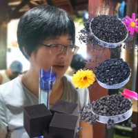 Amy song