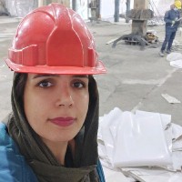 Simin Mirzae
