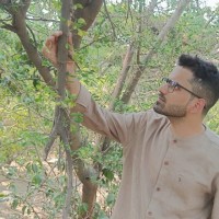 Aditya Kunwar Singh