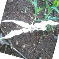 José Ángel Hernández Gómez