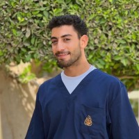 Mansour Hemida