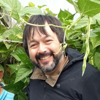 Julio Mendoza