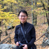Donglei Yin