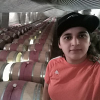 damaris gutierrez troncoso