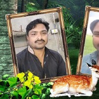 Asif Ali