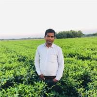 Harinandan Prasad