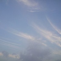 陈六春