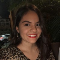 Daniela A. Guerrero Castro