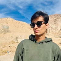 Mohammad Mahdi Sanjari