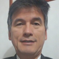 Ljis Ricardo Fonseca Gomez