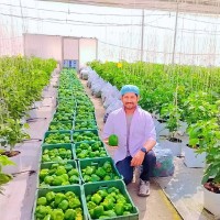 Shubham Wadhai