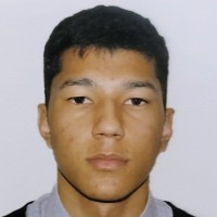 Nicholas Hiroyuki Kamada Dos Santos