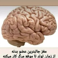 Mahtab Farahani