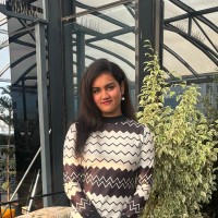 Harshita Shrivastav