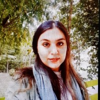 Parvaneh Ansari