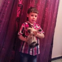 Ali Ayadi