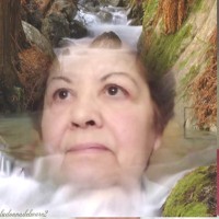 Maria Da Graça Oliveira Simões