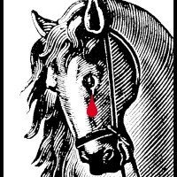 Equine Advocates