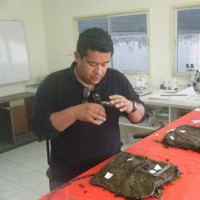Hernan Padilla