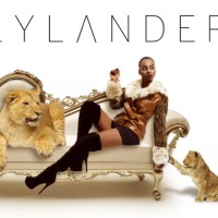 Marcus Flylander Niles