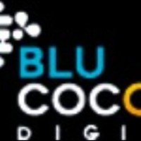 Blu Cocoon Digital