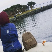 wlla algrooz