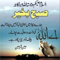 Umer Rasheed