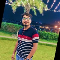 Raja Kumar Swain