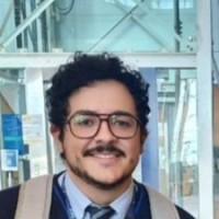 Artur Mantovani De Paula Alves