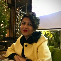 Dina Kazemi Beidokhti