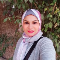 Shaimaa Dahy (PMP)®