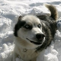 Christopher Robinson