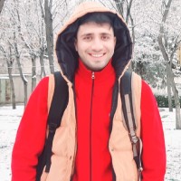 mohammad haghani