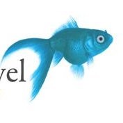 Van Den Heuvel Recruitment & Consultancy