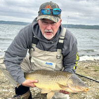 Steve Bone