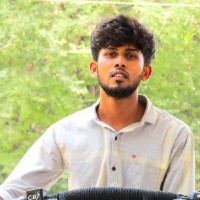Parthasarathi N