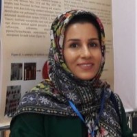 Somaye Jasemi